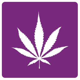 Narcotics Management System (NMS)